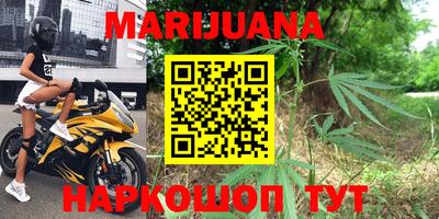 дживик Шелехов