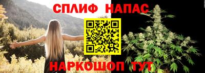 дживик Шелехов
