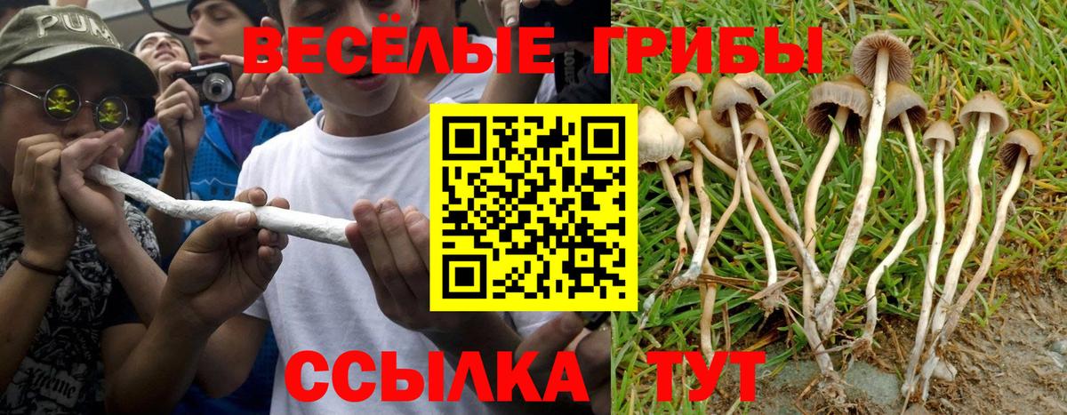 Псилоцибиновые грибы ЛСД Конаково
